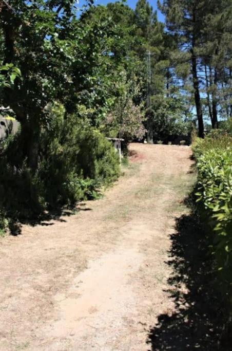 Appartement Tout Equipe En Rez-De-Jardin Entre Gard Et Ardeche Saint-Julien-de-Peyrolas ภายนอก รูปภาพ