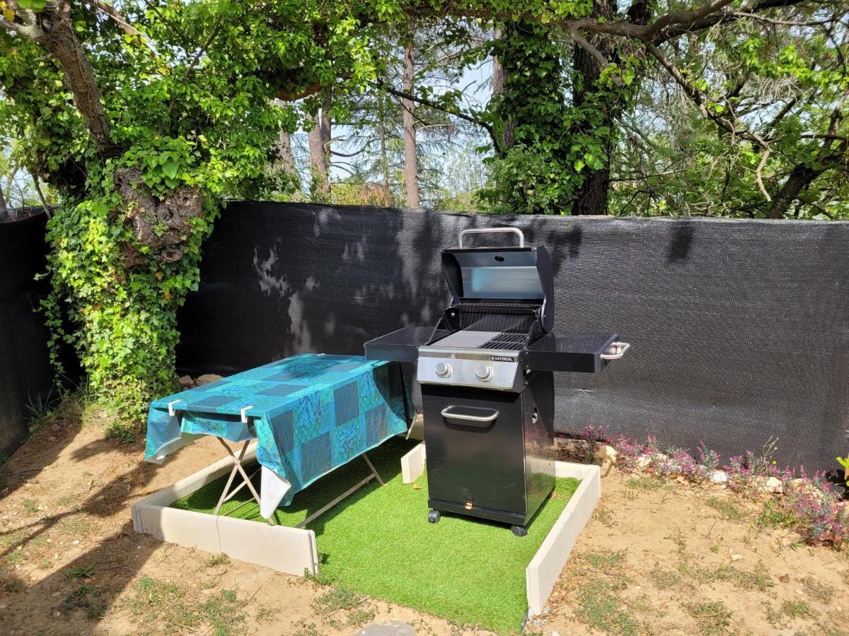Appartement Tout Equipe En Rez-De-Jardin Entre Gard Et Ardeche Saint-Julien-de-Peyrolas ภายนอก รูปภาพ